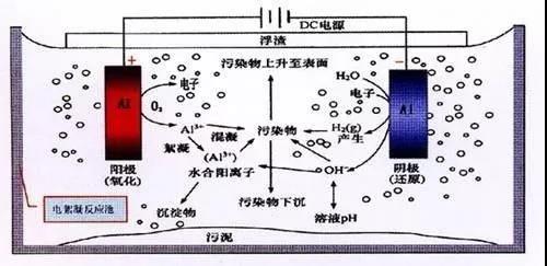 我買了一個甲醛檢測儀，吹口氣后發(fā)現(xiàn)原來我才是“地表最強”污染源！