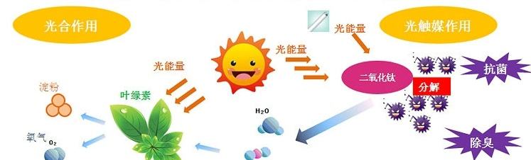 甲醛治理用什么辦法最正確？這三點(diǎn)常見的除甲醛辦法其實(shí)是誤區(qū)