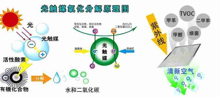 除甲醛常用方法，專家告訴你哪些有用