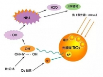 杭州除甲醛的優(yōu)效方法有哪些？