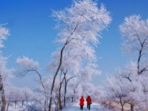 如何解決冬季室內(nèi)和車內(nèi)環(huán)境污染問題的問題呢？
