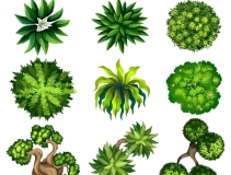 可以凈化室內(nèi)空氣的植物，這二十種您需要好好了解一下！