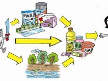 食品中有塑化劑嗎？這些食品中含有大量塑化劑，食用時(shí)一定要注意！