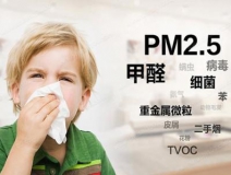 室內(nèi)空氣質(zhì)量之甲醛：危害、來(lái)源及防護(hù)