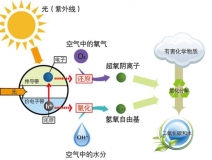 冷觸媒，暗觸媒，風(fēng)觸媒是怎樣的甲醛治理方式？