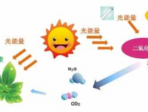 家中甲醛超標(biāo)，什么才是甲醛治理的正確姿勢？