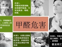 哪些綠植可以除甲醛？