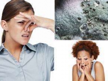 家里有異味怎么辦？科學(xué)除味、治理甲醛就對了！