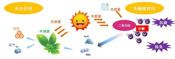 光觸媒去除房間甲醛爭(zhēng)議很大？